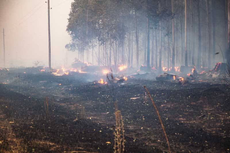 El 5 de enero de 2023 el Poder Ejecutivo nacional prorrogó la declaración de la emergencia ígnea en todo el país, luego de reconocerse la creciente cantidad de  incendios forestales.