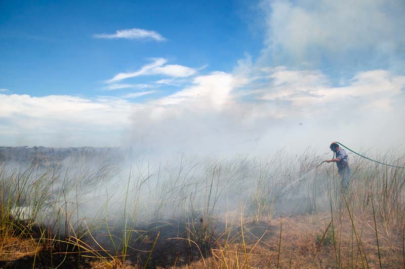 En las últimas horas, un incendio cercano a la Ruta Nacional 12 puso en alerta al aeropuerto Fernando Piragine Niveyro, aunque el fuego no alcanzó los hangares y fue controlado. La sequía y las altas temperaturas agravan la situación, mientras las autoridades instan a la población a extremar precauciones para evitar nuevos focos.