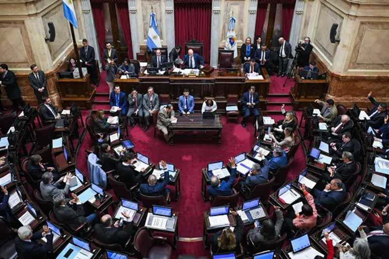 senado-ley de discapacidad-veto-milei