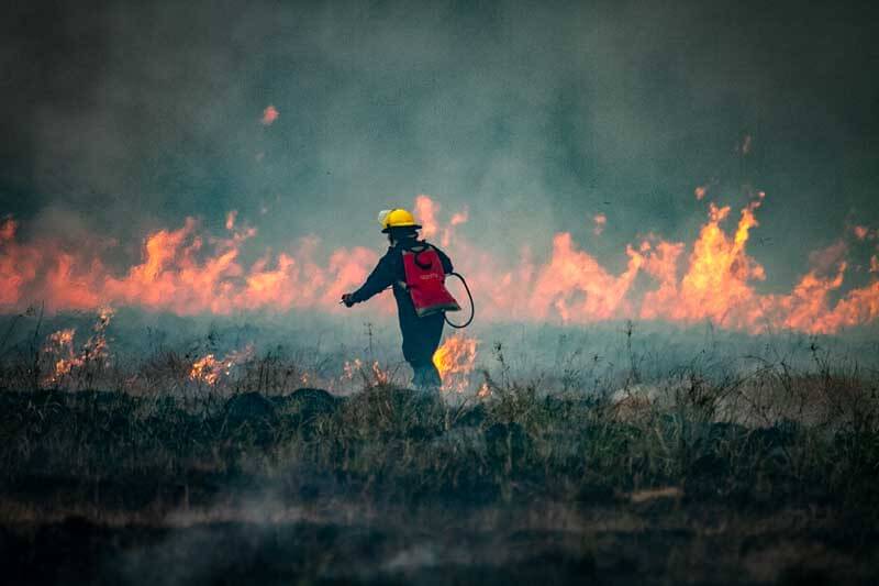 Dia internacional de incendios forestales