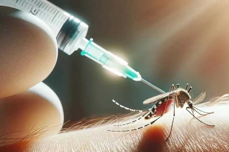 El Aedes aegypti una amenaza constante}