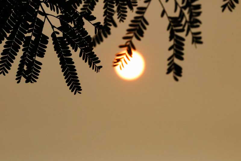 Este fenómeno, que cubre el cielo con una tonalidad plomiza y reduce la visibilidad, también ha generado una aureola solar, un indicio del impacto de los contaminantes en la atmósfera. Las autoridades prevén que la situación se mantenga hasta el miércoles o jueves, cuando se espera que la rotación del viento y las posibles lluvias ayuden a disipar el humo.