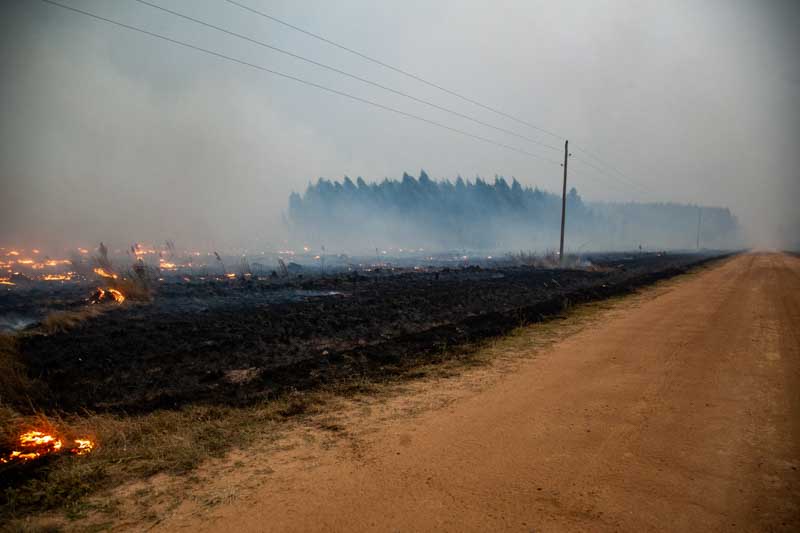El año pasado en esta misma época los incendios causaron pérdidas millonarias en la producción forestal, principalmente en las zonas de Santo Tomé e Ituzaingó.
