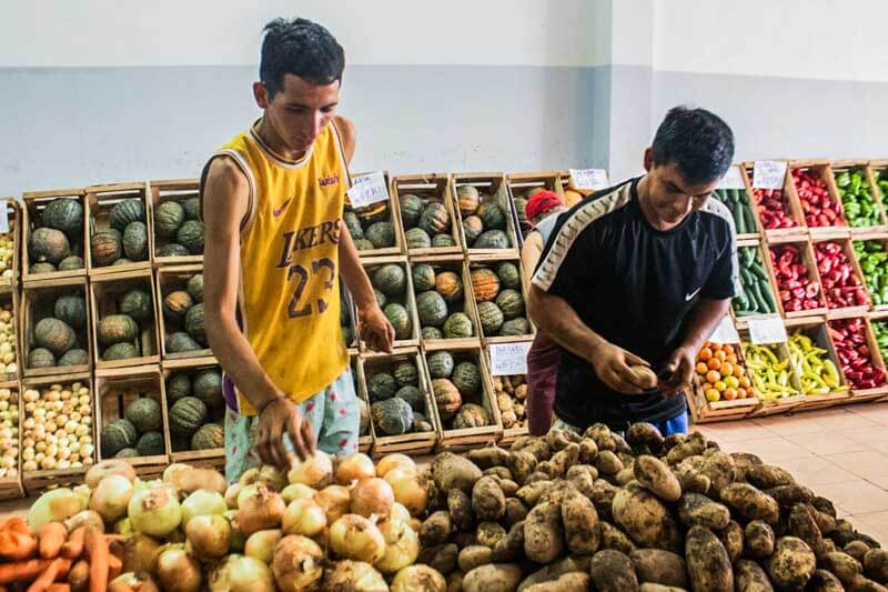 En paralelo, la Canasta Básica Total (CBT) alcanzó los $1.024.435,21 para una familia tipo, reflejando un aumento mensual del 2,3%, ligeramente inferior al nivel general de inflación. Este valor, que incluye gastos en alimentos, transporte, educación y salud, representa el umbral necesario para no caer en la pobreza. Por otro lado, la Canasta Básica Alimentaria (CBA), que contempla únicamente bienes de primera necesidad, ascendió a $449.313,69, definiendo la línea de indigencia.