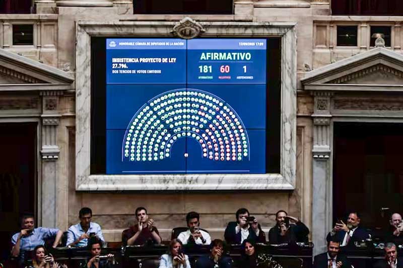 veto-congreso-ley-univesidades-financiamiento-emergencia pediatrica