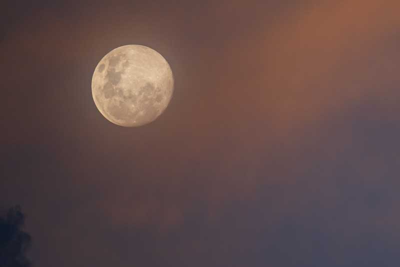 luna llena -  luna 2026 -  enero  - información