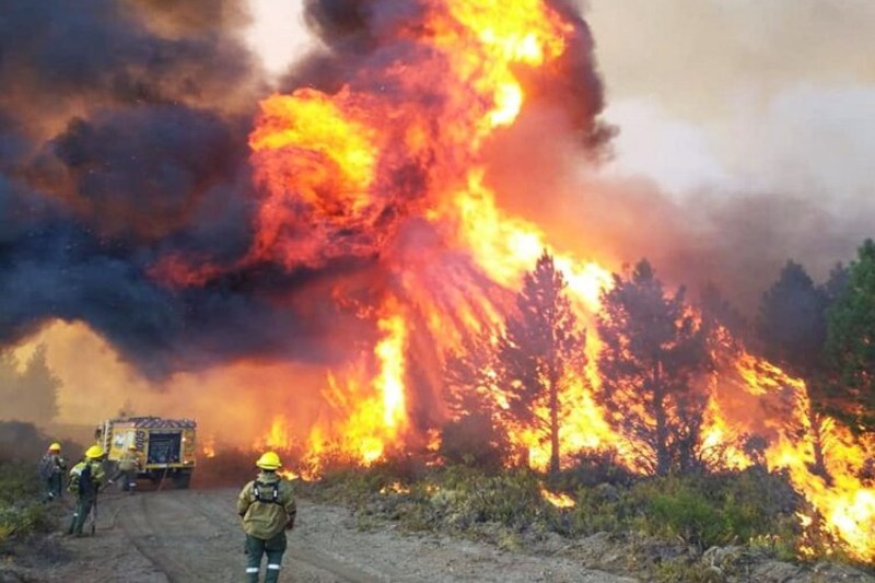 incendios forestales en argentina