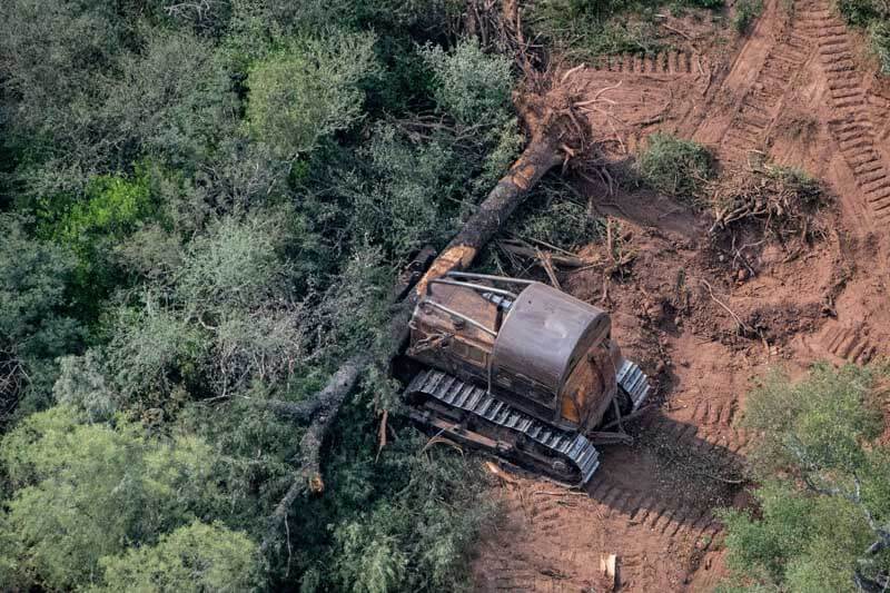 La organización ecológica le reclamó al Congreso de la Nación que no se modifique la ley de bosques, ya que flexibilizaría las restricciones a la desforestación, teniendo en cuenta que esa legislación permitió que el 80% de los bosques nativos estén clasificados por leyes provinciales, y que se haya realizado un ordenamiento territorial de los bosques nativos.