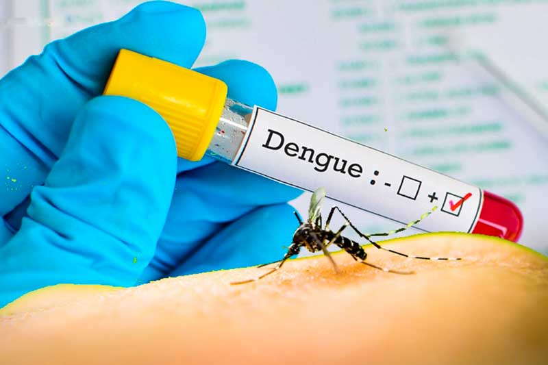 test-deteccion-dengue-prevención-anmat-salud-argentina