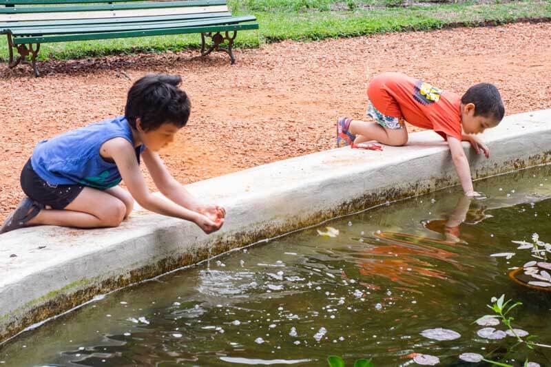 Además, buscar sombra es una herramienta poderosa contra la radiación directa y el calor reflejado por superficies urbanas. Refrescar puntos clave del cuerpo con toallas húmedas o hielo y utilizar ventiladores portátiles con pulverizadores puede marcar la diferencia, especialmente en climas secos. Según especialistas, estrategias simples como estas permiten enfrentar las altas temperaturas de manera más llevadera y segura.