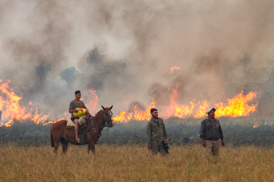 Trabajadores locales ayudan a combatir le rapida expansion de las llamas en la zona rural del limite entre San Luis del Palmar y Erliska.