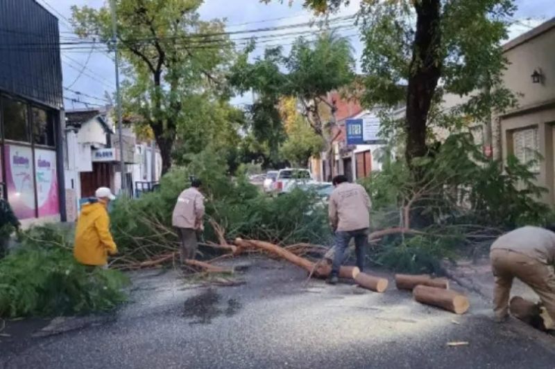 La capital sufrió los efectos del anticipado fenómeno en las últimas horas del lunes, con distintas consecuencias y en menor medida que la provincia. En la madrugada de ayer las fuertes ráfagas del viento provocaron la caída de chapas, árboles (más de 10) y postes (alrededor de 6). Por la siesta la lluvia acumuló 35 milímetros en solo una hora. Pese al anegamiento de las calles barriales, lo más perjudicial fue la caída de techos y los cortes de luz. 
