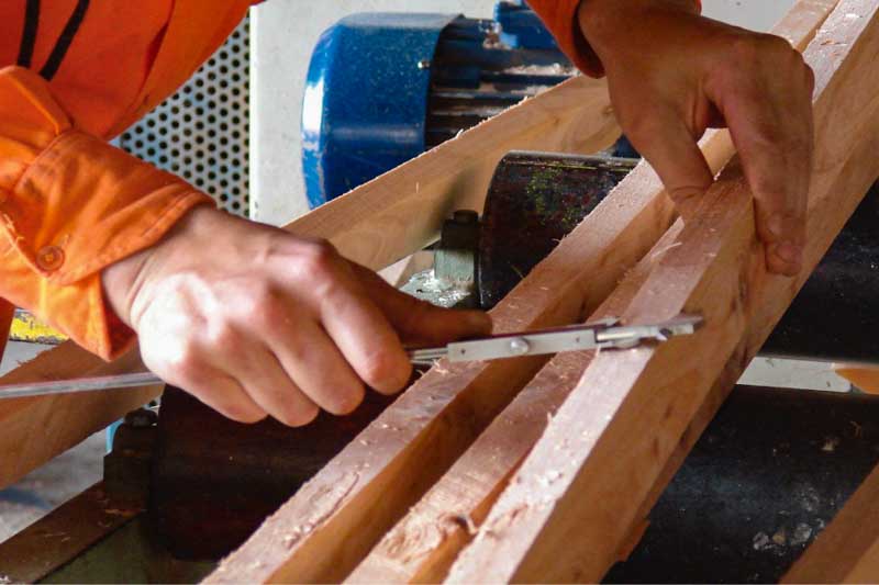 Hace poco tiempo al grupo se había incorporado el aserradero austríaco Acon Timber, con su base principal en Gobernador Virasoro, donde tiene un gran aserradero de compensados fenólicos, líder en el país, con una producción de 60.000 metros cúbicos al año. Celulosa Argentina facturó en nueve meses, hasta el 29 de febrero pasado, 175.354 millones de pesos, y de ese total el grupo Tapebicuá representa un 10% de la facturación.