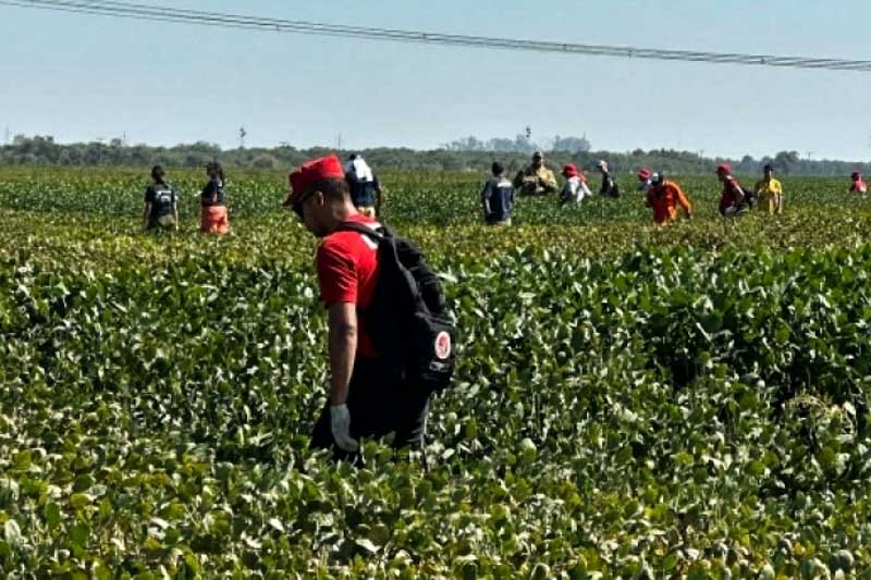 El operativo, que ya lleva tres días, se ve dificultado por las altas temperaturas y el terreno complejo. Aunque aún no hay detenidos, se secuestraron vehículos y celulares para avanzar en la investigación. La ONG Missing Children difundió la imagen del niño a nivel nacional e internacional, y las autoridades pidieron a la población que den cualquier información relevante a la línea 134. Lian es de tez trigueña, cabello corto y negro, y mide aproximadamente 90 centímetros. Al momento de su desaparición vestía un pantalón corto azul, no llevaba camisa ni calzados.