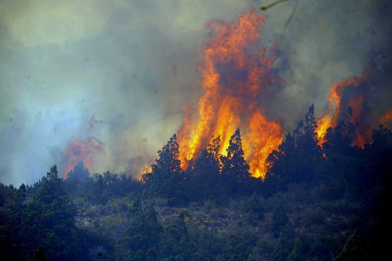 En respuesta a la magnitud del desastre, el Gobierno nacional oficializó un refuerzo económico para el sistema de emergencia. Mediante la Resolución 91/2026, se asignaron $120.000 millones en subsidios para bomberos voluntarios de todo el país. Según el detalle, cada una de las 1.062 asociaciones habilitadas recibirá aproximadamente $95 millones destinados a la compra de equipamiento crítico, materiales de protección y mantenimiento de autobombas, un auxilio vital ante la complejidad operativa que impone la temporada.