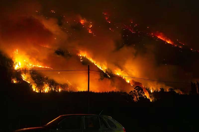 La intervención federal ocurre tras casi un mes de incendios ininterrumpidos que ya consumieron más de 40.000 hectáreas, con focos críticos en áreas protegidas como el Parque Nacional Los Alerces. Actualmente, unos 500 brigadistas y bomberos trabajan en los frentes activos, mientras la Justicia Federal investiga la eficacia de los organismos de manejo del fuego ante la magnitud del desastre. El decreto busca agilizar la llegada de suministros y apoyo logístico en un contexto ambiental y social calificado como extremo.