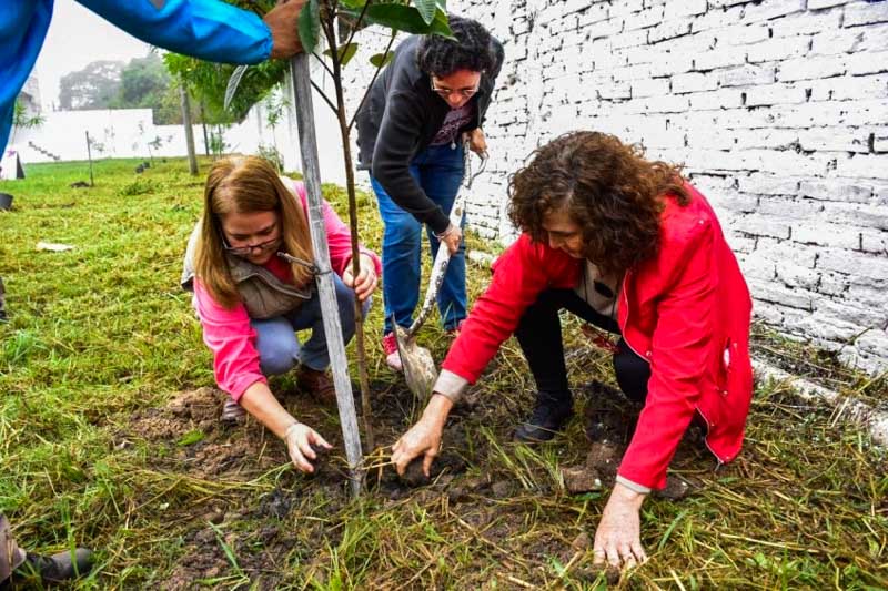 En la continuidad de su plan de acciones ambientales para reducir el impacto del cambio climático en la ciudad, la Municipalidad de Corrientes aplica uno de sus programas para el cuidado ecológico, con la meta de finalizar la gestión actual con 15 mil árboles plantados en la ciudad. Hasta ahora 3 mil se colocaron en 2022 y 3.650 en 2023, siempre con la participación vecinal.