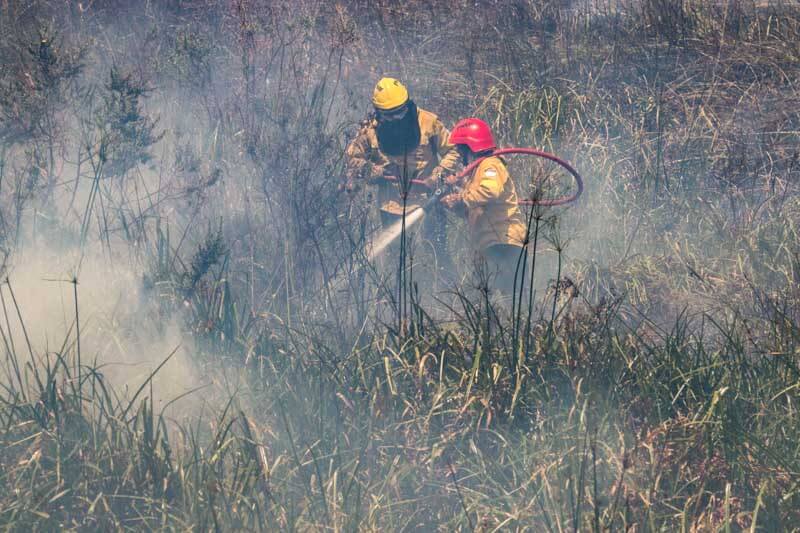 incendios-incnedios forestales-focos febrero-calor-sequia