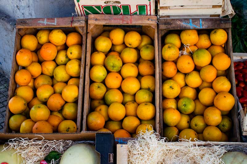  Producción-Verduras-Naranjas-Temporada-Siembra