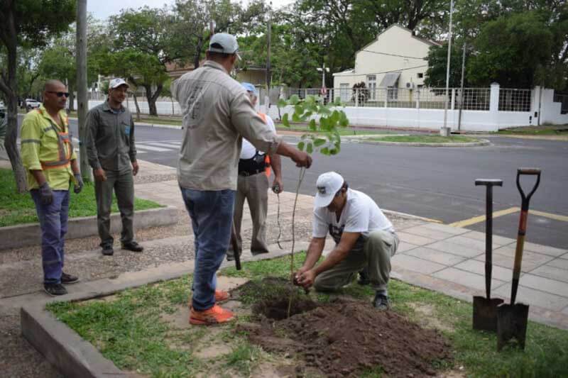 Con el objetivo de lograr una ciudad más verde y amigable con el ambiente, la Municipalidad de Corrientes está realizando una consulta ciudadana, en la que es importante la colaboración de los vecinos, que podrán aportar sus ideas en esta iniciativa de buenas prácticas en el cuidado de los árboles. 