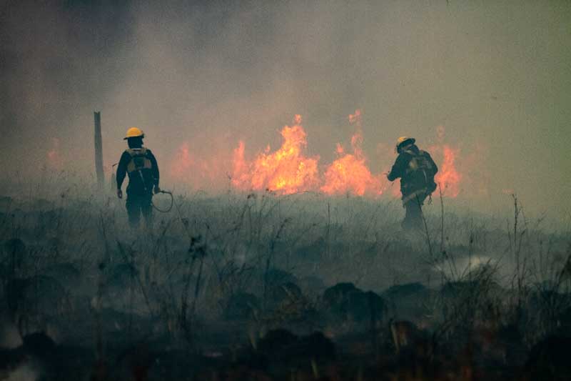 Son 17 las provincias que permanecen en algún grado de alerta, además de Corrientes: Salta, Jujuy, Formosa, Chaco, Misiones, Santa Fe, Buenos Aires, Córdoba, Santiago del Estero, Tucumán, Catamarca, La Rioja, Mendoza, Neuquén, Río Negro, Chubut y Santa Cruz, Entre Ríos, San Juan, San Luis, el sur mendocino y La Pampa.