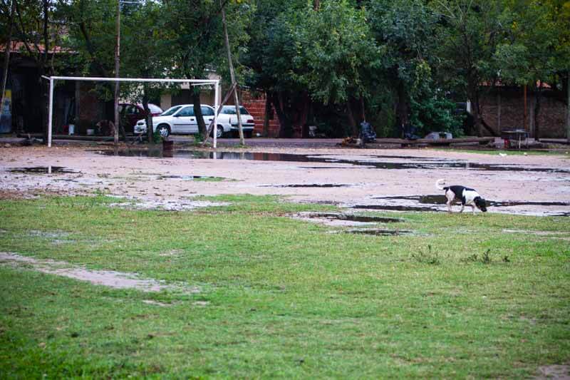 El país campeón del mundo tiene canchas en cada barrio, y los postulantes a un buen partido solo permiten a sus mascotas transitar por el suelo imposible de usar. Dicen: 