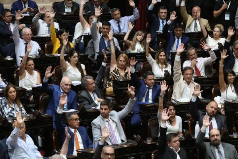 En la presentación los denunciantes consideran que el decreto viola los artículos 75 (incisos 4, 7 y 22) y 76 de la constitución nacional, que establecen que cualquier endeudamiento con organismos internacionales debe ser aprobado por el Congreso. Además, afirman que el Gobierno estaría usurpando funciones exclusivas del Poder Legislativo y que el DNU constituye un acto de abuso de autoridad y violación de los deberes de funcionario público, conforme a los artículos 248 y 249 del Código Penal.