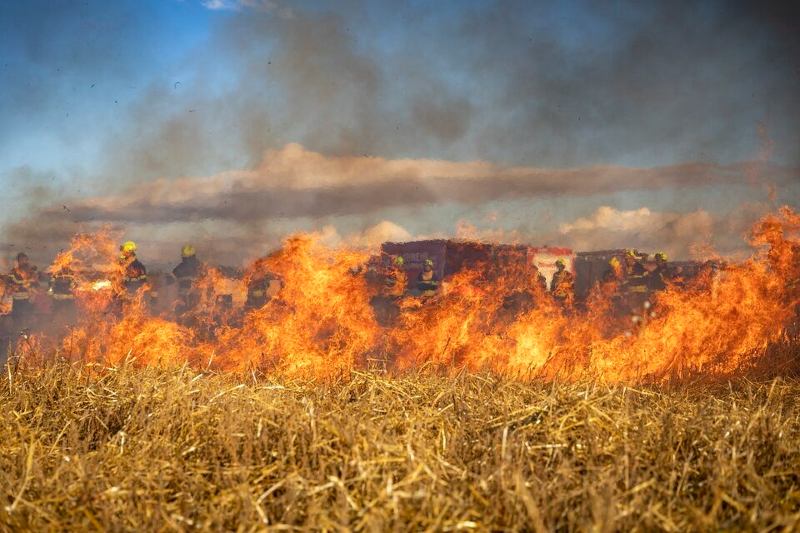 La semana pasada la fundación Tierra emitió un informe que señala una superficie devastada que podría superar los 10,1 millones de hectáreas, considerando un desastre con dimensiones “nunca antes vistas” en el país andino. Los informes oficiales también indican que el fuego sigue presente en 26 municipios de las tres regiones afectadas. 