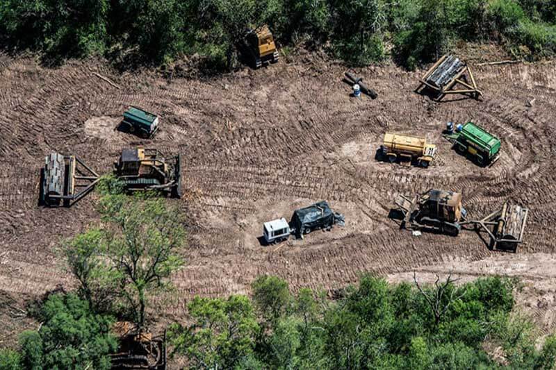 Desde el año 2014 hay un 40% menos de desforestación, a causa de la sanción de la medida legal que también protege a los glaciares -la cual fue promovida gracias a que la sociedad civil reunió un millón y medio de firmas que se entregaron al Congreso en 2007-, y para salvarla hoy organizaciones ecologistas, sociales e indígenas lanzaron una petición, a través de la web: “salvalasleyesambientales.org”. 