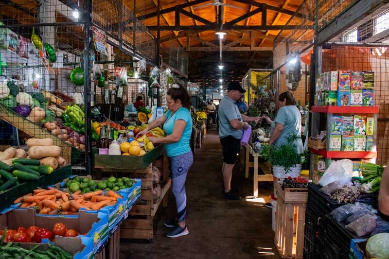 Ferias de verduras-Verduras-Hortalizas-Compras de verduras-Huevos-Acelgas-Tomate-Papa-Lechuga-Zanahoria-Cebolla-Brocoli-Banana-Pimentón