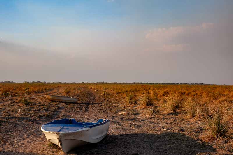 Corrientes sufre el grave problema de la sequía en toda la provincia, con una situación muy grave para los productores. Los grandes incendios que golpearon a los campos solo lograron contenerse definitivamente con la ayuda de las lluvias.