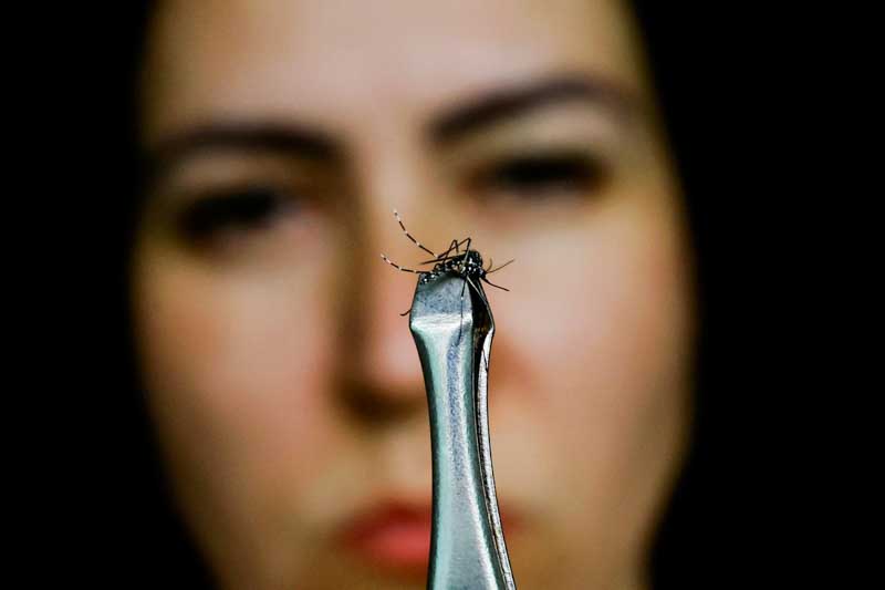 Argentina enfrenta el peor brote de dengue en su historia, con un aumento del 2500% de los casos, en comparación con el año anterior. El comportamiento inusual de la enfermedad, que generalmente experimenta una disminución durante las temporadas más frías, ha llevado al aumento semana tras semana.