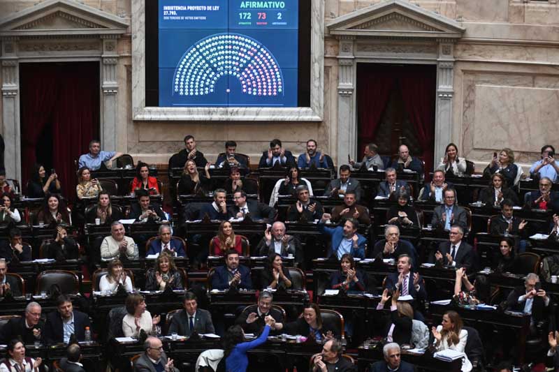 diputados-ley-discapacidad-veto-milei