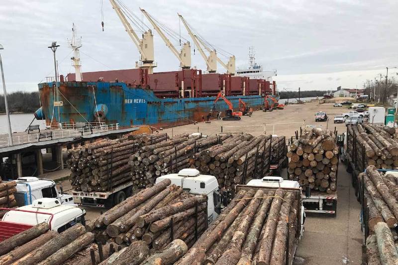 Distintos gremios confirmaron su adhesión, y la detención laboral impactará principalmente en los siguientes sectores: transporte público y de cargas, escuelas y universidades, bancos y organismos públicos, industrias y fábricas, comercios y servicios, especialmente en grandes centros urbanos, y también se sumaron los 9 sindicatos de la Federación Sindical Marítima y Fluvial (Fesimaf), con lo cual hoy y mañana se detendrá las tareas en todos los puertos del país por 48 horas.