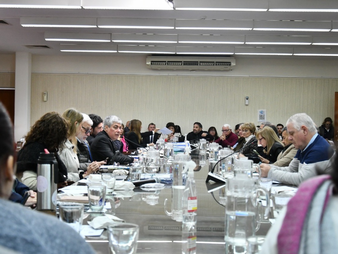 En la décima sesión ordinaria del cuerpo de consejeros superiores se dio lectura a una nota presentada de forma conjunta por el Consejo de Docentes e Investigadores de la Universidad Nacional del Nordeste (Codiunne), la Asociación de Docentes e Investigadores de la UNNE (Adiunne) y el sindicato no docente (ATUN-Nordeste), en la que piden el acompañamiento al plan de lucha.